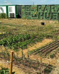 Uno de los huertos en alquiler del Paraíso de la Huerta.