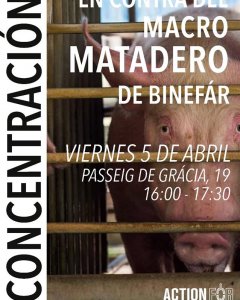 Concentración en Barcelona contra el proyecto convocada por veganos y animalistas.