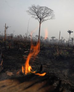 Una zona del incendio en el Amazonas en Boca do Acre (Brasil). /REUTERS