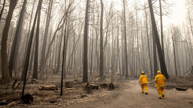 Mutual aide Animal Control officers from Placer County, search a property during a welfare check on cats left behind during the Bear fire, part of the North Lightning Complex fires, in Berry Creek, California, USA, 10 September 2020. According to reports,