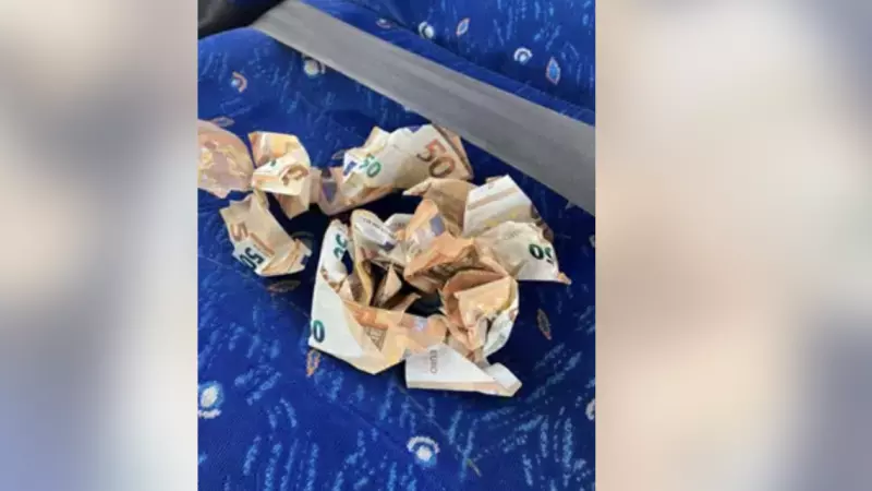 Billetes de 50 euros recogidos de la A-7 en Marbella