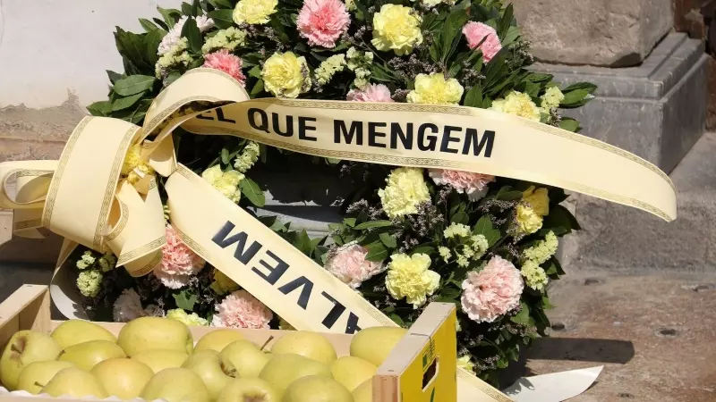 Una caixa de pomes i una corona de flors que simbolitza la mort del sector agrícola, davant del Palau de laGeneralitat.