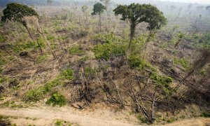 Vista aérea de una tala ilegal en el Bosque Nacional de Jamanxim , en el estado de Para, en la Amazonía brasileña. ANTONIO SCORZA (AFP)