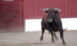 Fotograma del documental 'Tauromaquia' de PACMA.