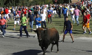 La celebración del Torneo del Toro de la Vega este 12 de septiembre, en Tordesillas. EFE