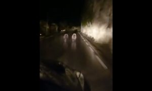 Captura del vídeo de la persecución a dos osos pardos en una carretera de Cantabria.