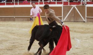 Una clase de la Escuela de Tauromaquia de Murcia. Público