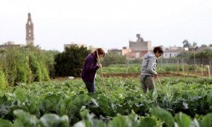 Agricultura