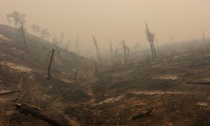 Imagen del incendio en California. REUTERS/Bob Strong