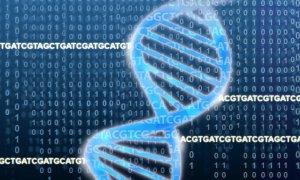 Representación de la cadena de ADN que forma los genes./EMBL