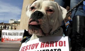 Imagen de archivo de una manifestación en contra del maltrato animal/EFE