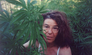 Fernanda de la Figuera, activista de 76 años se enfrenta una pena de 4 años de prisión por cultivar marihuana con fines medicinales.