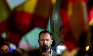 El líder de Vox, Santiago Abascal. - EFE