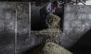 Un trabajador carga granos de café en una planta de procesamiento de café en Ciudad Bolívar, departamento de Antioquia, Colombia. (JOAQUIN SARMIENTO / AFP)