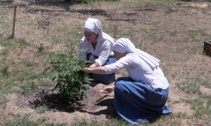 Las Hermanas del Valle llevan cuatro años y medio cultivando plantas de marihuana y elaborando productos con CBD en una granja secreta en Merced, California.