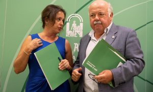 El consejero de Salud y Familias de la Junta de Andalucía, Jesús Aguirre(d) y la viceconsejera de su departamento, Catalina García Carrasco.-EFE