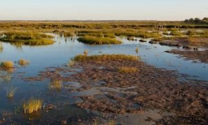 Imagen del humedal de La Albufera de Valencia./ Europa Press