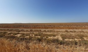 Trebujeña, Doñana.