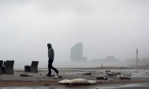 21/01/2020.- Una persona camina por la playa de la Barceloneta, en Barcelona durante el temporal. / EFE - ENRIC FONTCUBERTA