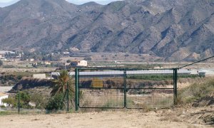 Integrantes de Flecha Verde, junto a la parcela contaminada donde se proyecta la plantación regeneradora de cannabis. / FLECHA VERDE