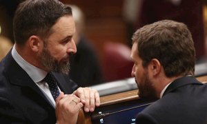 Pablo Casado y Santiago Abascal en el Congreso de los Diputados. / Europa Press