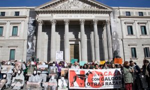 Manifestación de la Plataforma NAC en el Congreso. NAC