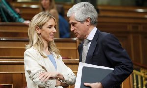 La portavoz del PP, Cayetana Álvarez de Toledo, y el secretario de la Mesa Adolfo Suárez Illana al inicio del pleno en el Congreso. EFE