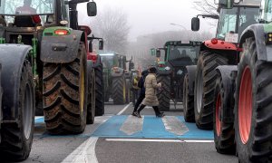 Dos viandantes cruzan un paso de cebra entre los tractores