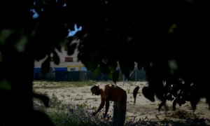 Un hombre trabaja en uno bancal colectivo de un huerto urbano de Madrid. (Dani Pozo/AFP)