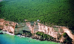 Vista del pinar de Barbate. Junta de Andalucía