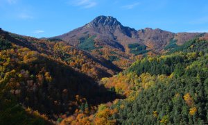 Imatge d'arxiu del parc natural del Montseny. Viquipèdia