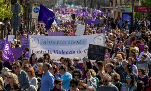 Vista de la manifestación del 8M en Sevilla. EFE/Julio Muñoz