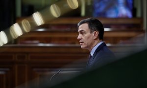 Sánchez pide "sacrificio" y "unidad" para salir de la crisis porque "lo más duro está por llegar". EFE