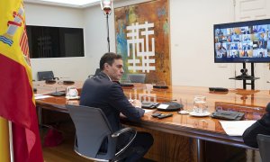 Pedro Sánchez, este domingo, en la reunión por videoconferencia con los presidentes autonómicos. /EFE