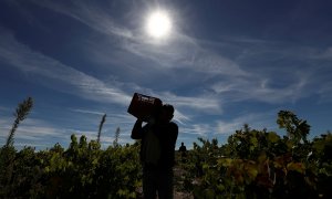 Un agricultor trabaja en un campo de Moradillo de Roa, Burgos. (Reuters/Sergio Pérez)