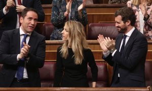 El presdidente del PP, Pablo Casado, el secretario general, Teodoro Garcia Egea, y el resto de los diputados del grupo aplauden a la portavoz en el Congreso, Cayetana Álvarez de Toledo, tras su intervención en la primera sesión de control al Gobierno en l