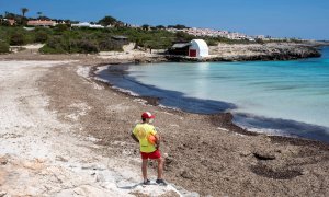 Un socorrista en una playa de Menorca durante este pasado domingo./ David Arquimbau Sintes (EFE)