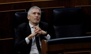 Fernando Grande-Marlaska en el Congreso