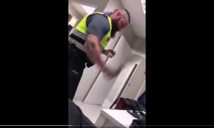 Captura Vídeo renfe vigilante