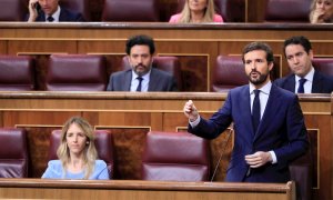 El líder del PP, Pablo Casado. - EFE