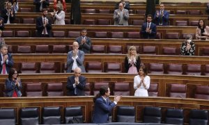 Ingreso mínimo vital en el Congreso