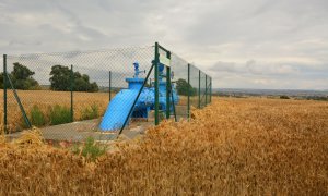 Camp de blat de Les Pallargues (La Segarra), on hi ha instal·lada l'estructura del reg, però no es pot fer servir per la normativa ambiental. FRANCESC REGUANT