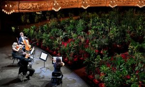 El Cuarteto Uceli se presenta ante una audiencia hecha de plantas durante un concierto creado por el artista español Eugenio Ampudia y que luego se transmitirá para conmemorar la reapertura del Gran Teatro Liceu en Barcelona. LLUIS GENE / AFP