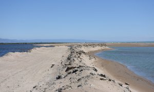 Delta del Ebro / Roser Royo