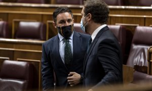 El presidente y el portavoz de Vox, Santiago Abascal e Iván Espinosa de los Monteros, charlan antes del inicio de una sesión plenaria en el Congreso. E.P./Pool