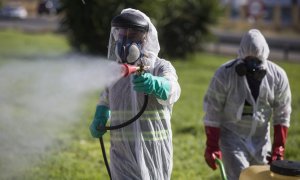 El Ayuntamiento de Castilleja de la Cuesta (Sevilla) realizó labores de fumigación como medida preventiva contra el mosquito causante de la transmisión del virus de la Fiebre del Nilo. /Archivo/ Europa Press