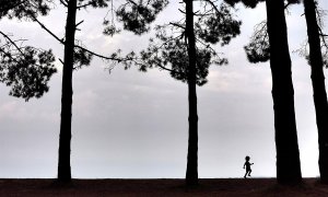 Un niño camina este lunes por el pinar del la playa de A Madalena, en el concello coruñés de Cabanas, en una jornada en la que Asturias, Castilla y León, Extremadura y Galicia están en alerta amarilla por lluvias que pueden acumular hasta 15 litros por me