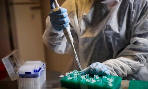 Fotografía de una investigadora de covid en un laboratorio. EFE/Federico Anfitti