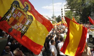 Manifestación de la ultraderecha en el centro de Madrid. EFE