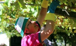 La mujer realiza labores de poda, labranza y recogida de leña y de fruta / ALBA TOMÉ